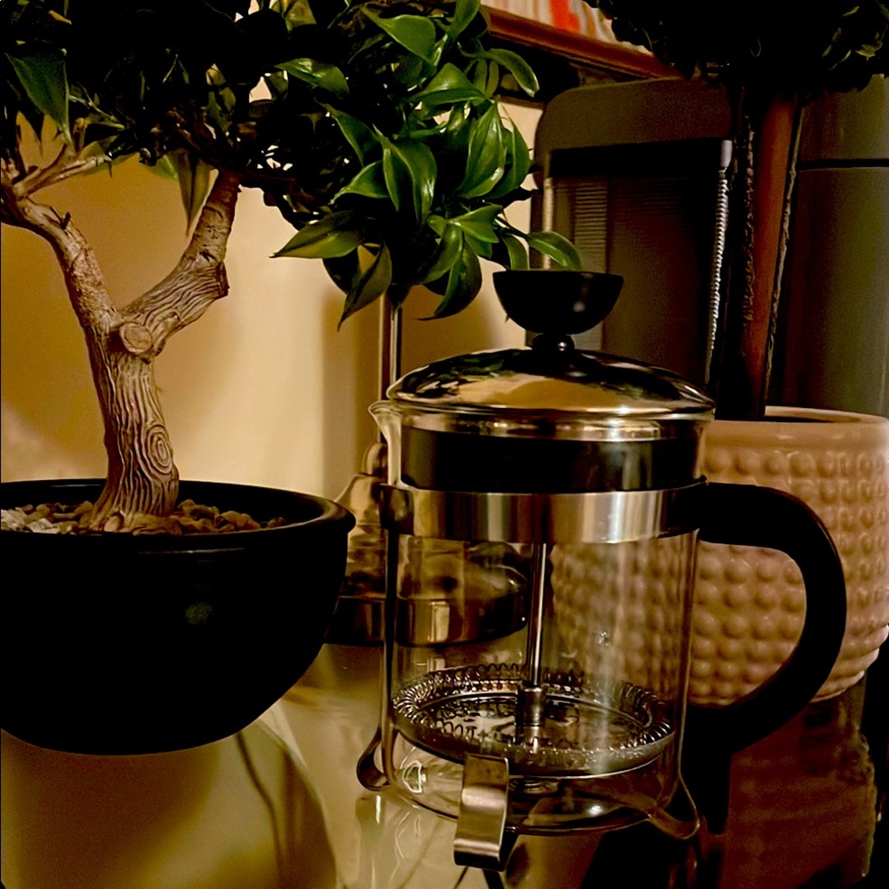 Stainless Steel French Press Coffee Maker